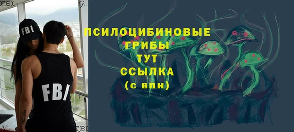 дурь Аркадак