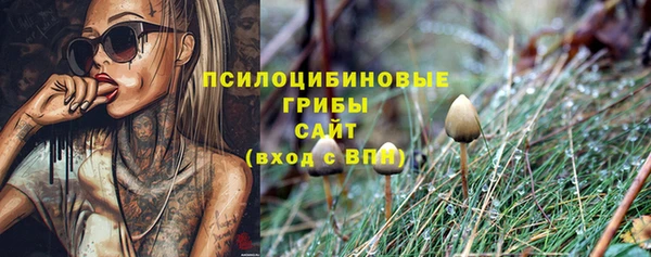дурь Аркадак