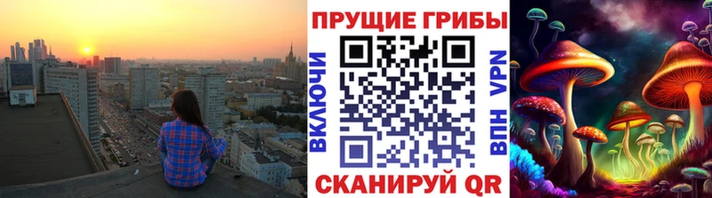 Псилоцибиновые грибы мицелий Никольское