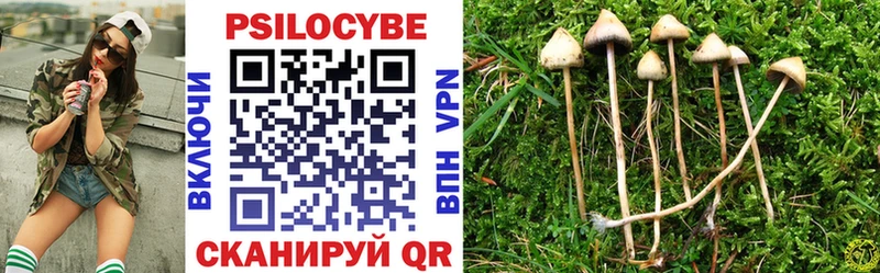 Псилоцибиновые грибы Psilocybine cubensis  Никольское 